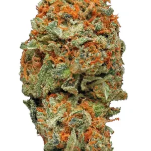 Ak-47 Strain