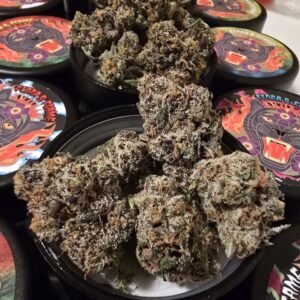 FLORA & FLAME PRE PACK JARS EXOTICS