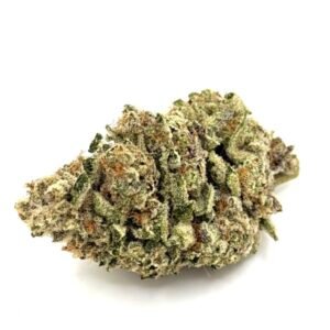Birds Of Paradise- 28% THC